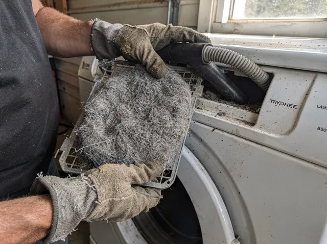 Cleaning Dryer Lint Trap in Temple City
